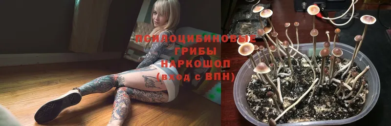 Псилоцибиновые грибы Magic Shrooms  Воскресенск 